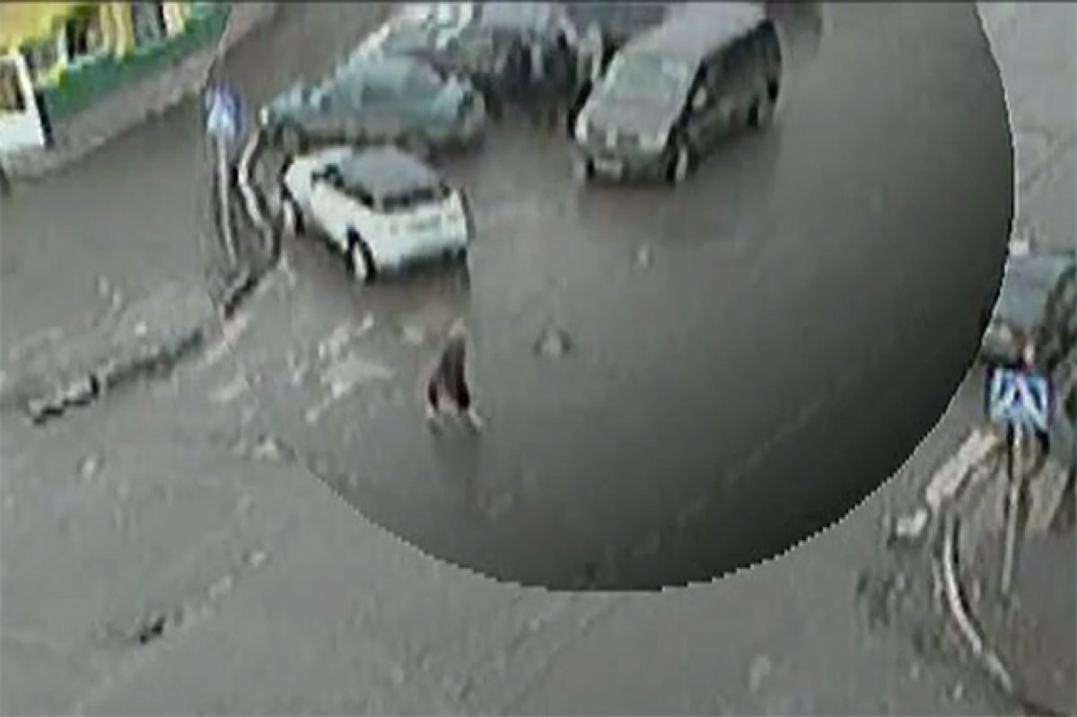    «Увиденное шокирует»: в Приморье во дворе жилого дома похитили человека