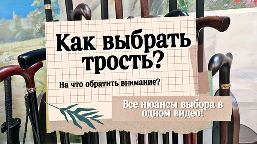 Как правильно подобрать трость для ходьбы | Ваша идеальная трость