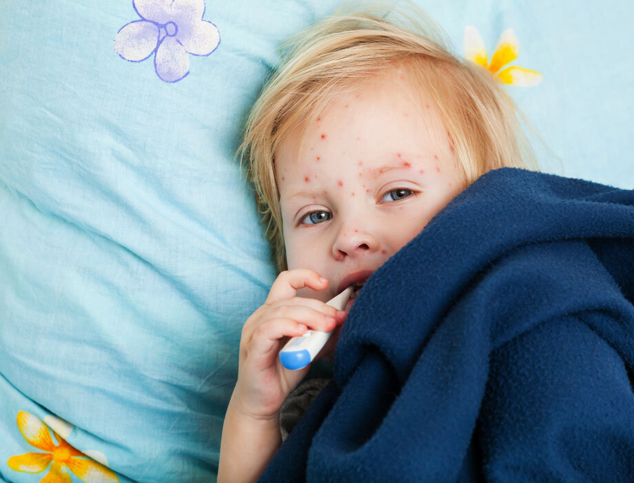 Фото https://www.biologie-elearning.fr/