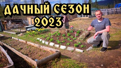 На даче. Начинаю дачный сезон 2023. Посадка цветов и перцев.