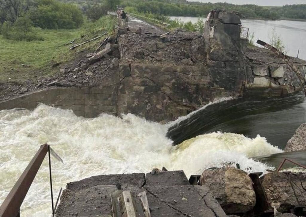    Фото: скриншот видео Юлия Дидух