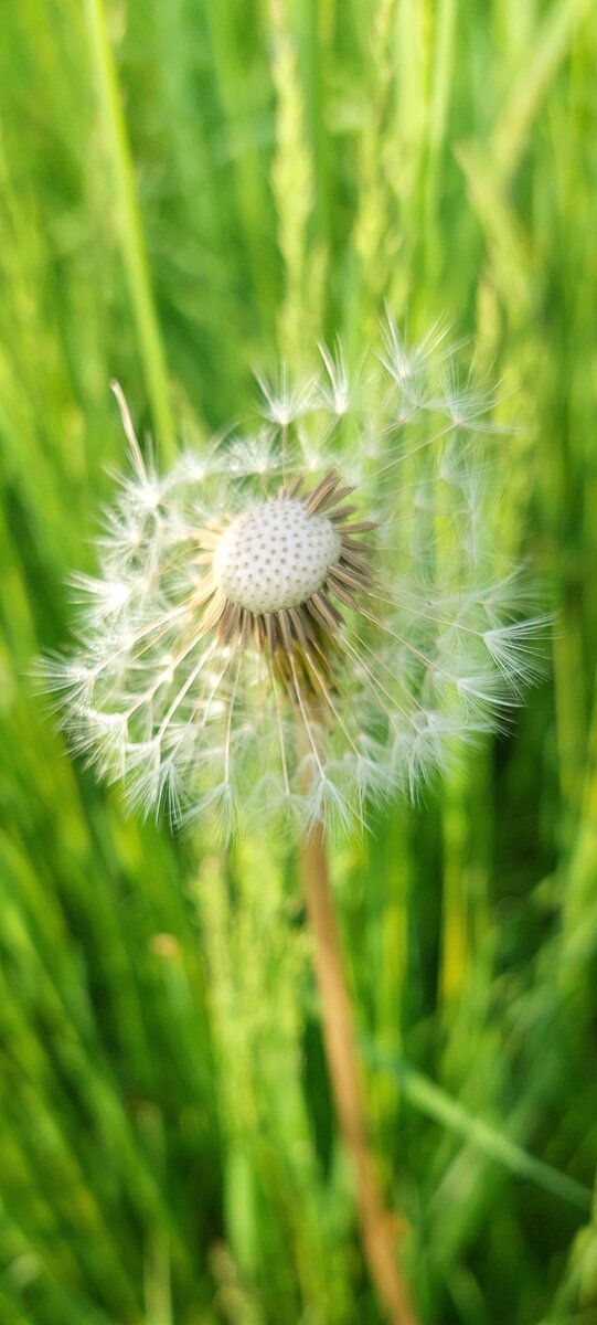 не четкая фотография