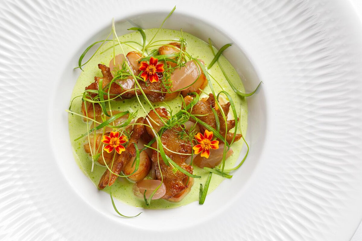 Пресс-служба📷Разные гребешки с пюре из цветной капусты и маринованным виноградом