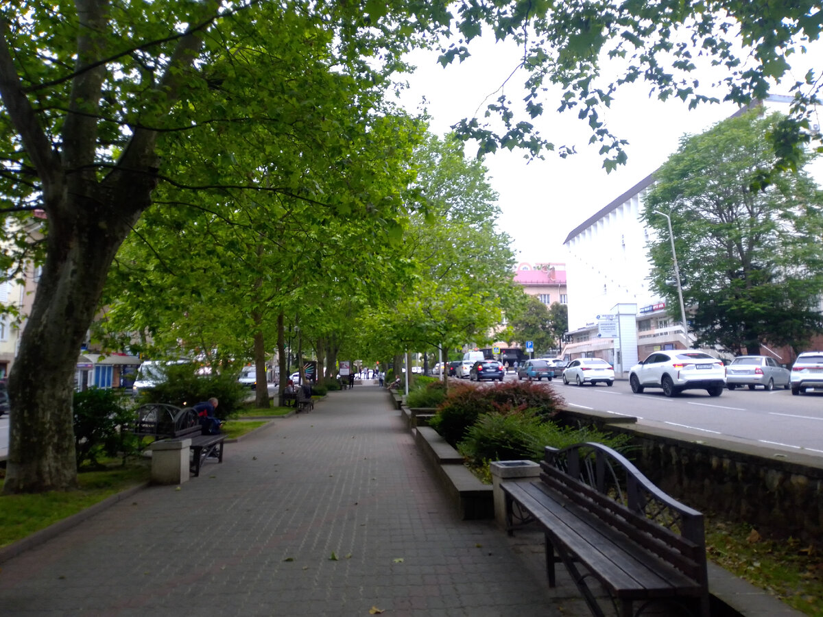 Аллея Платанов. Туапсе