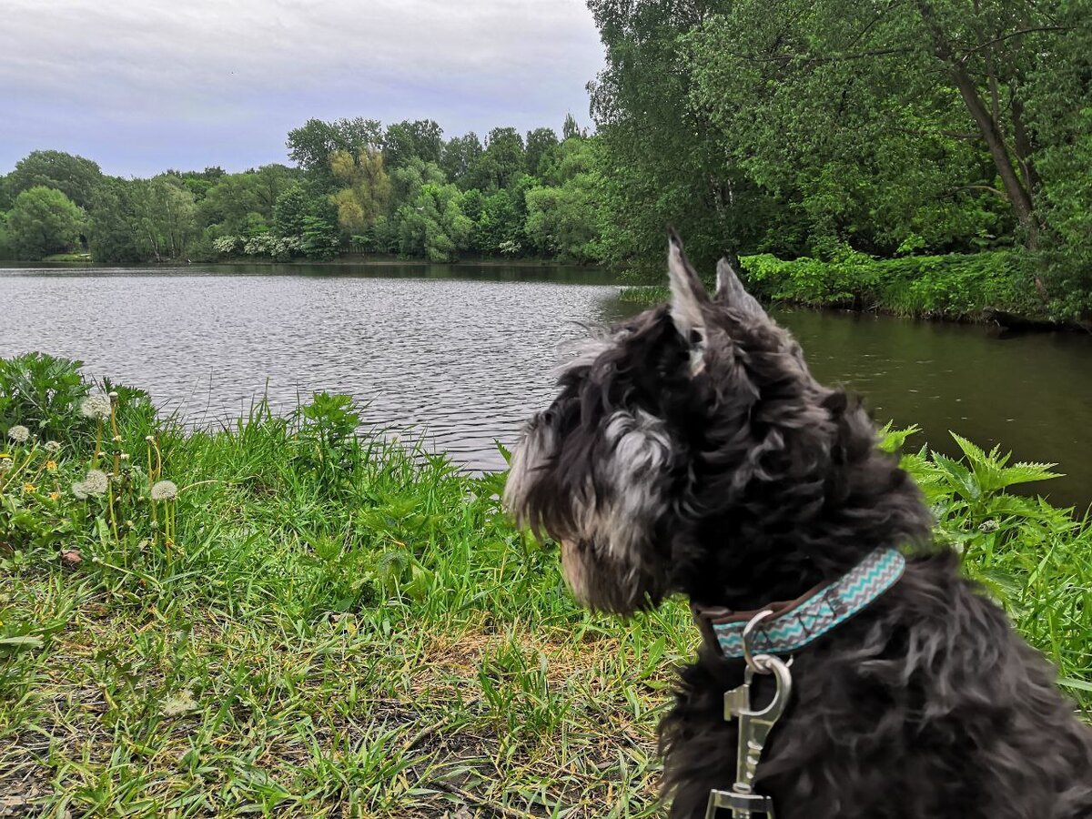 первая прогулка