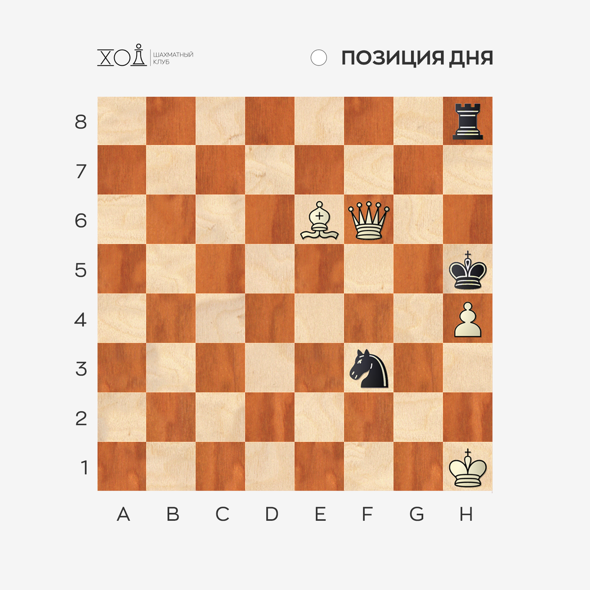 Задача по шахматам. Автор: Л. Залкинд «Deutshe Schachzeitung», 1907 г.