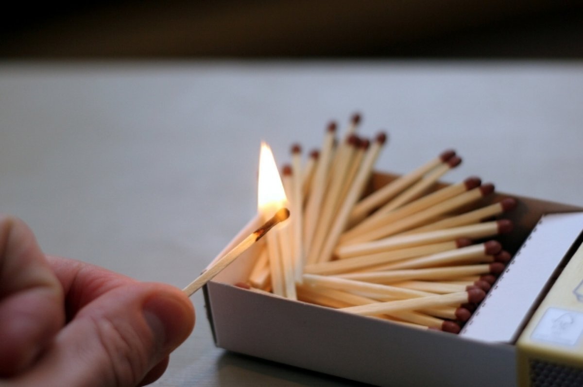    Сумма вознаграждения пока не сообщается.