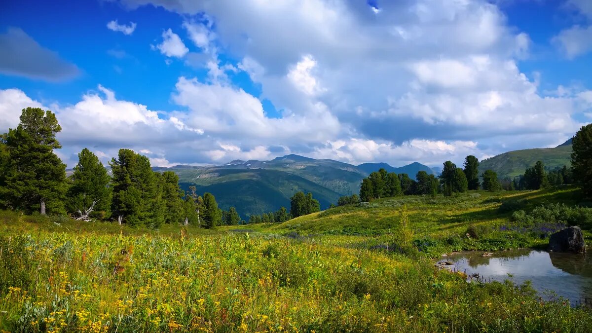 Резкое потепление в начале июня коснется далеко не всех россиян. Фото: Pxfuel.com
