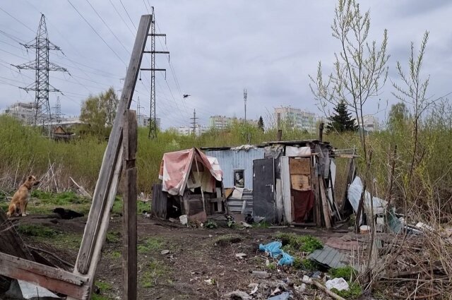    Постройка, которую соорудили бомжи. Фото: Общероссийский народный фронт Красноярский край