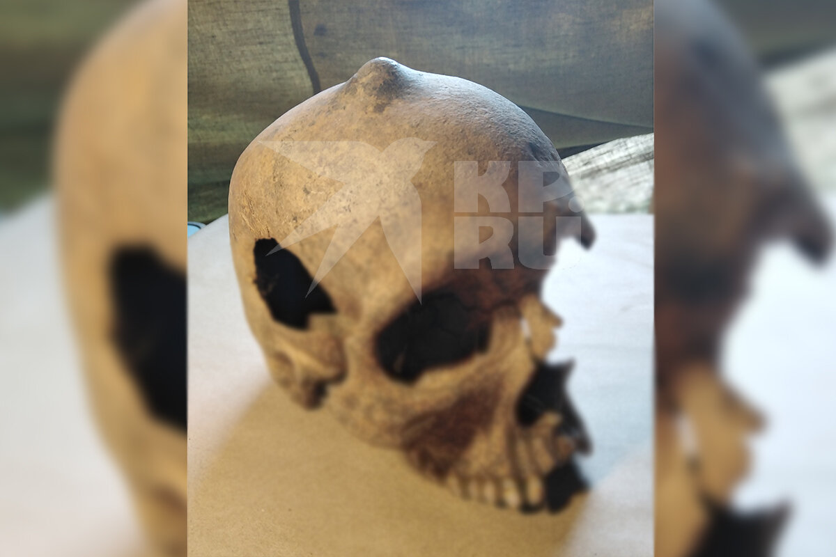 Фото: Татьяна ЗЫКОВА