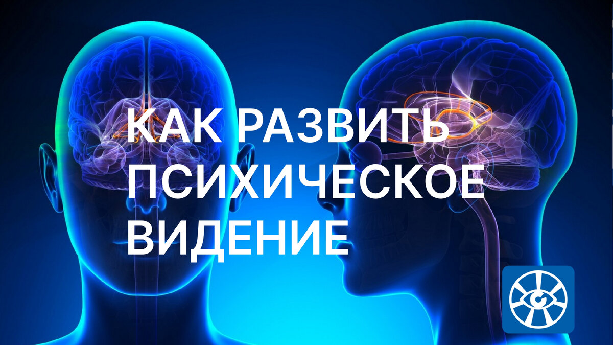 Дистанционное видение. Курс видение. Названия vision картинки. Бесплатное курсы дистанционное видение. Полина вашингтон работы.