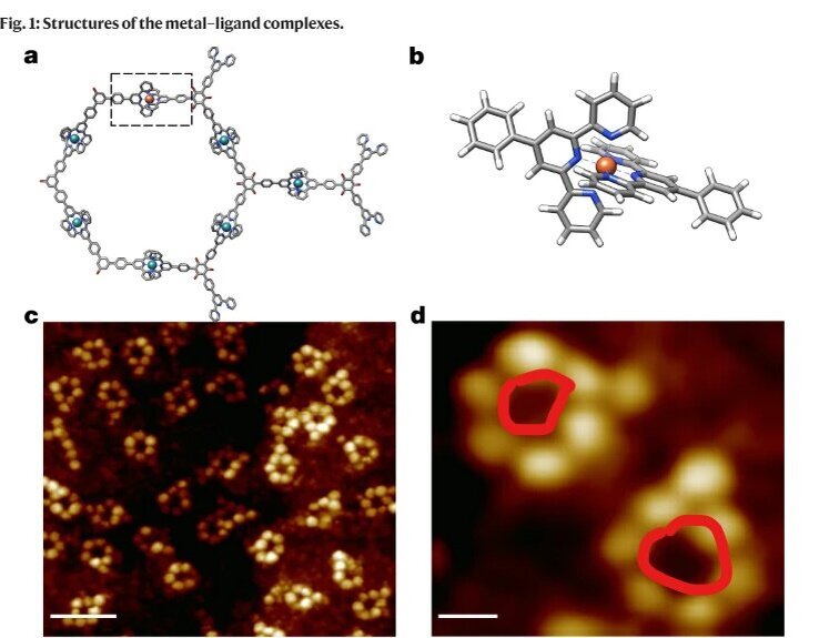 Красным кругом выделены атомы железа в железо-органическом соединении, по сути , это темная область