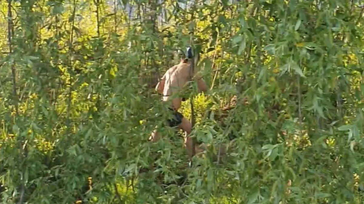 Фото: телеграм-канал «Многонационал»