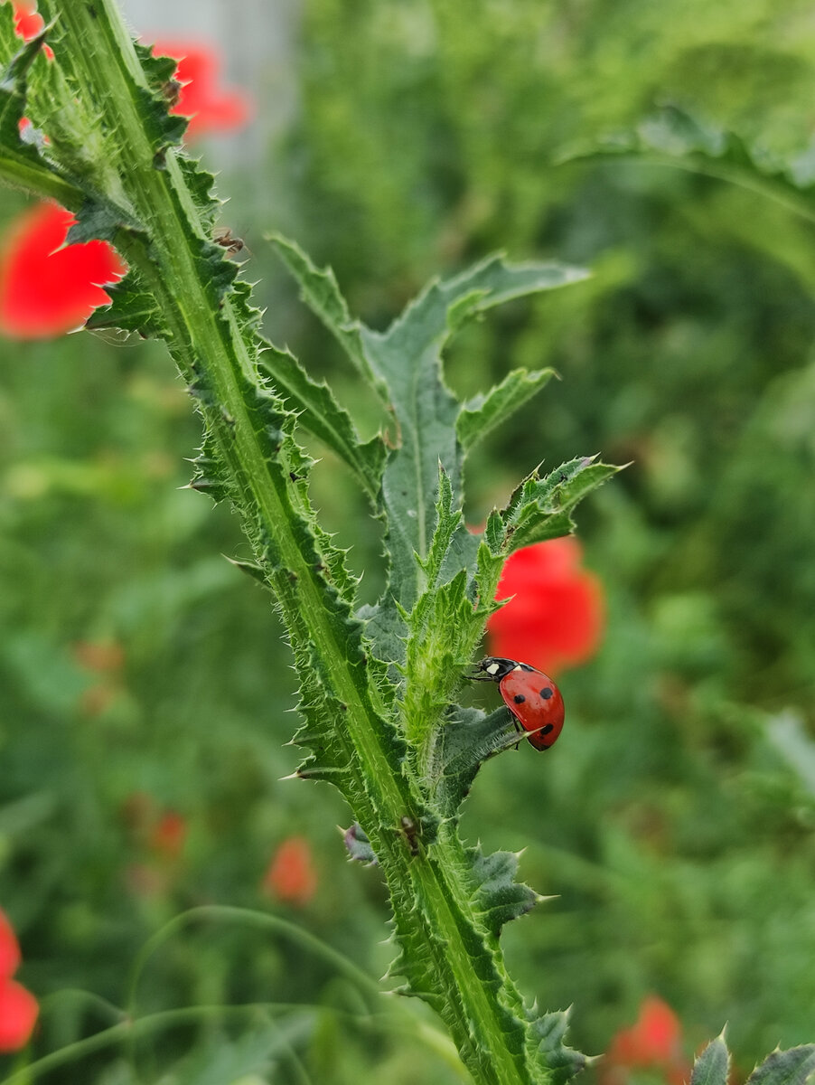 Фото автора (май 2023 года)