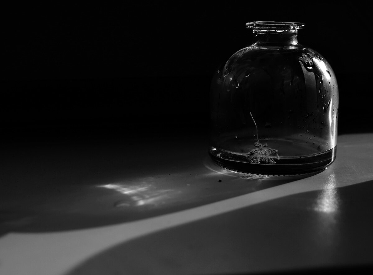 про укропный зонтик.