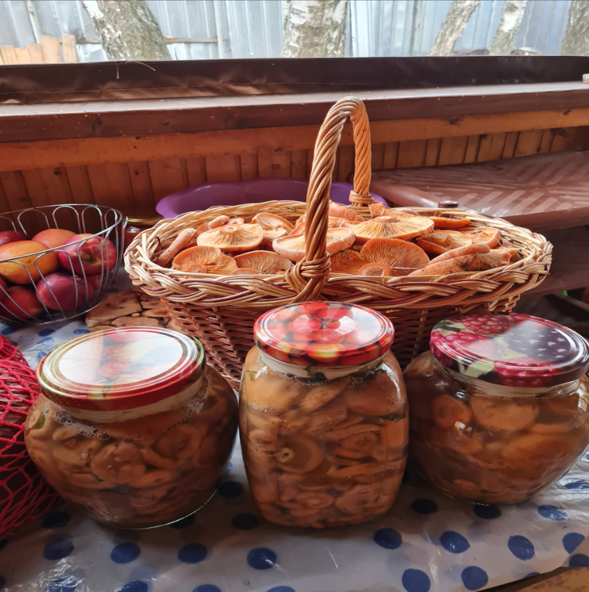 Автор фото Михаил Р.