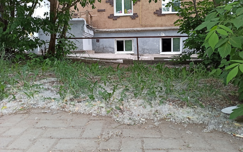  Фото: Наталья Зиятдинова