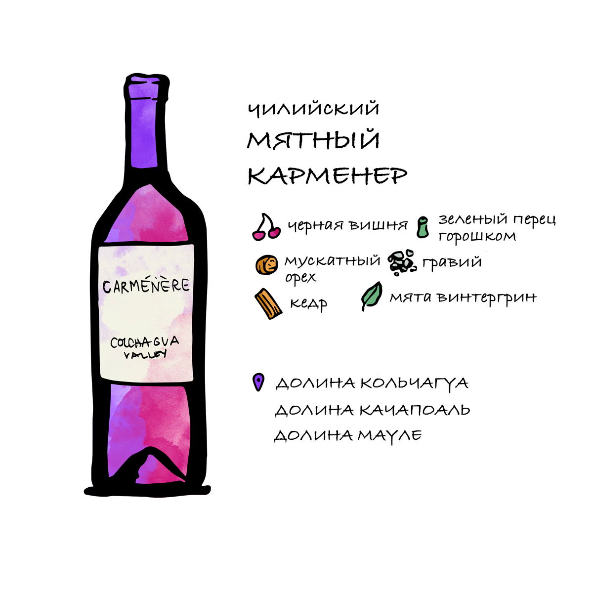 Категории вин Чили. Чилийское вино. Вино Sauvignon Blanc Чили. Чилийское вино фиолетовой головой.