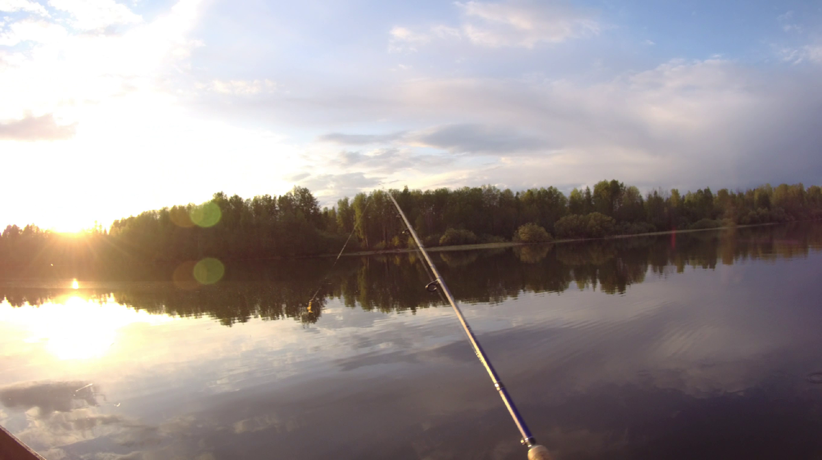 Рыбалка спиннингом. Хороший клёв окуня на закате