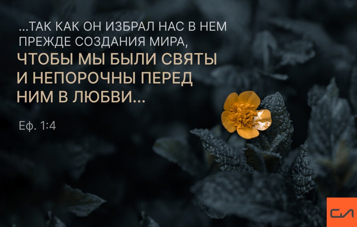 Знатоки на Волге. Издалека - долго... 2001 год (N223-N305)