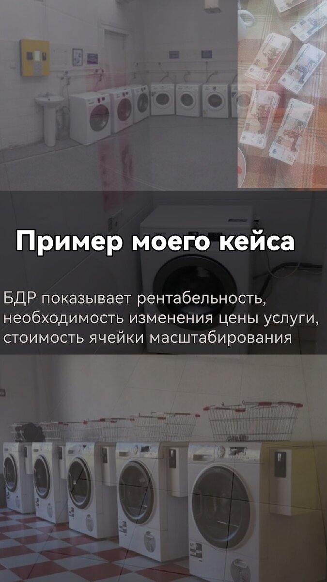 Мои помощницы. Работают без отпуска, больничного и выходных. 
