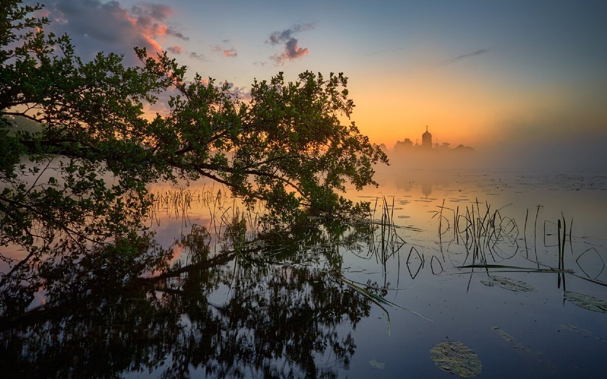 Там, где живет любовь | Георгий Жаркой | Дзен