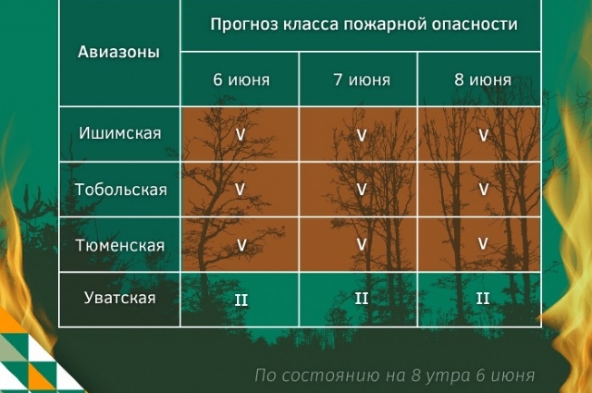    В Тюменской области 6 июня действуют 7 лесных пожаров