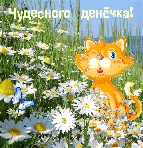 Источник: Яндекс картинки