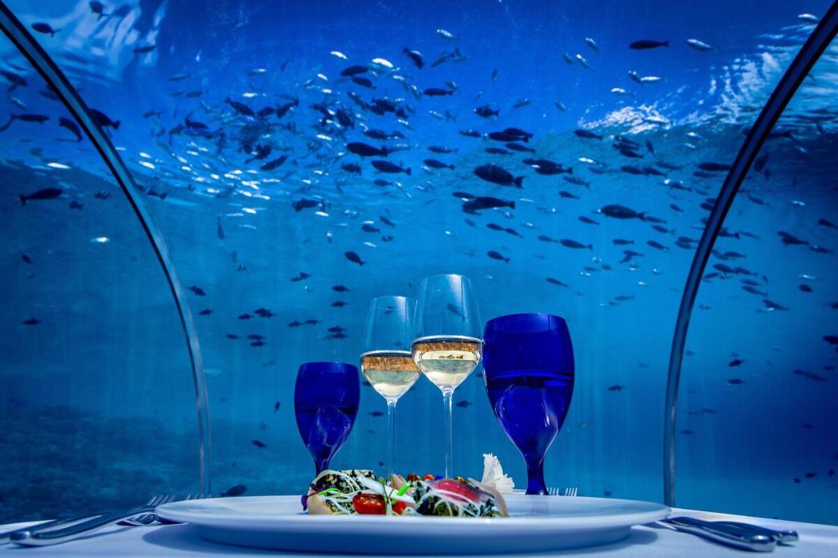 Ресторан 5 8 Undersea Restaurant