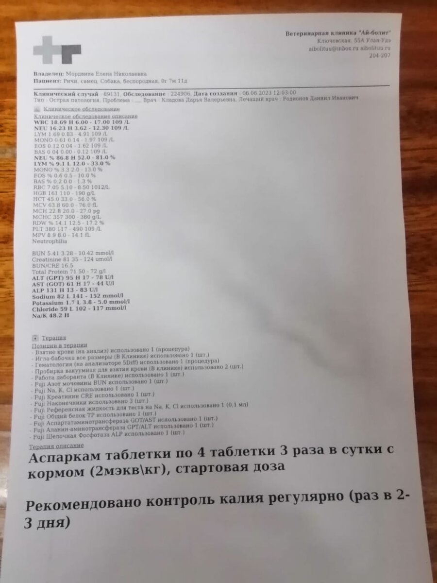 Сегодня День Стольника, Риччи дома,сдали анализы, почечные показатели в  норме,а упал калий,анализы отправили в Новосибирск, купили крупу. | Кот и  Пёс -Территория Надежды | Дзен