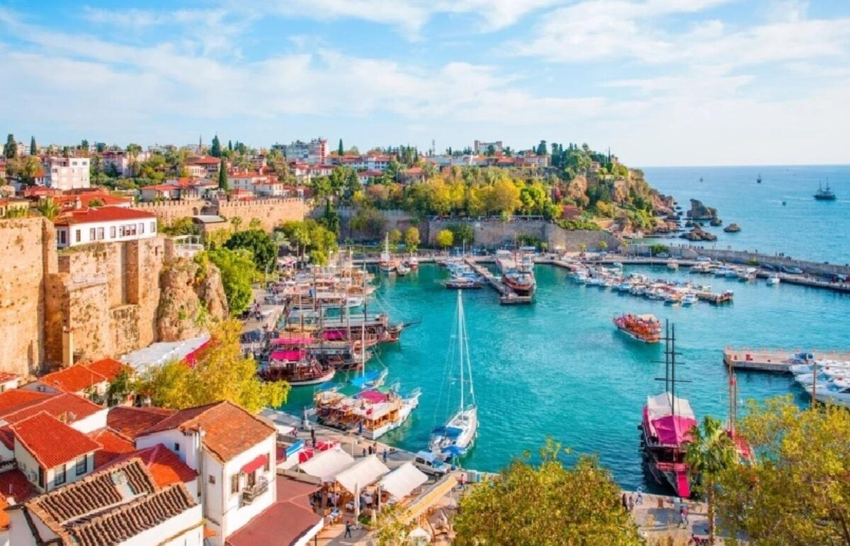 Shutterstock📷На снижение спроса повлияли прошедшие в Турции выборы президента