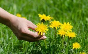    Фото: freepik.com Анна Полякова