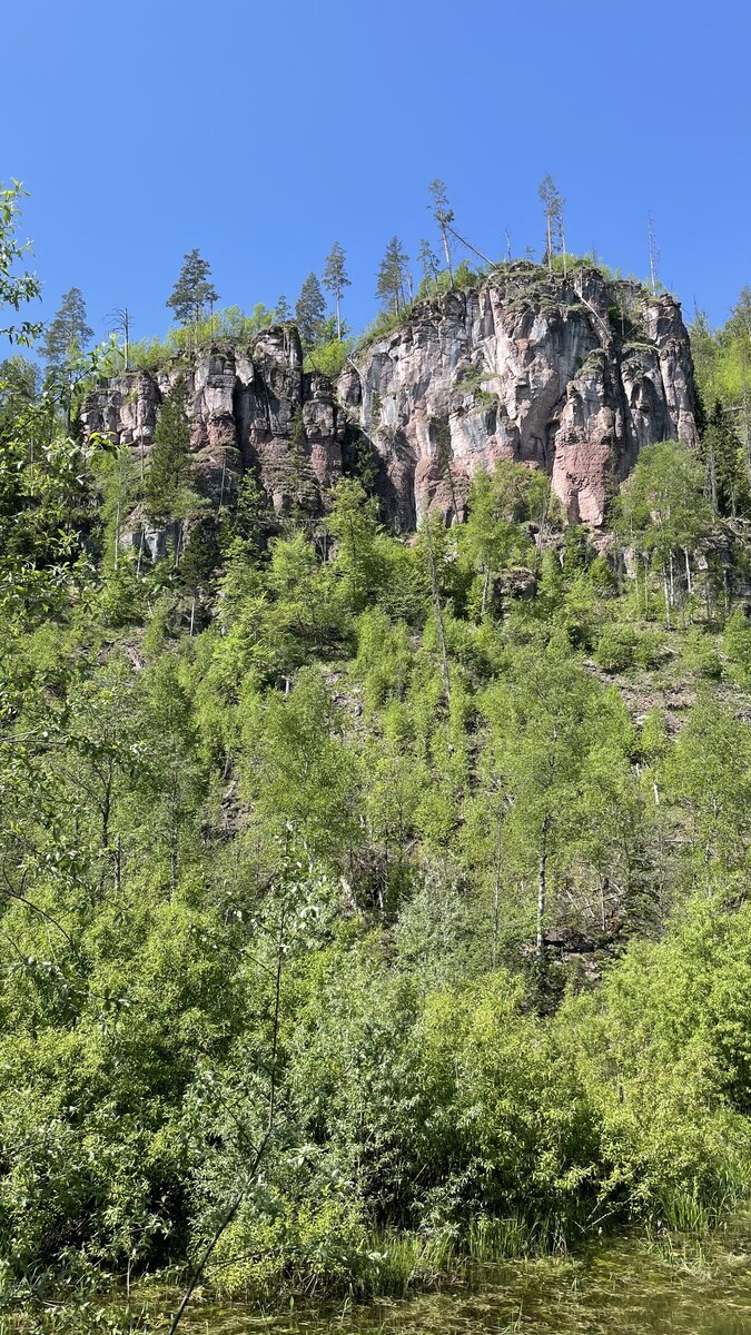 Вид снизу на массив. Виден розовый цвет. 