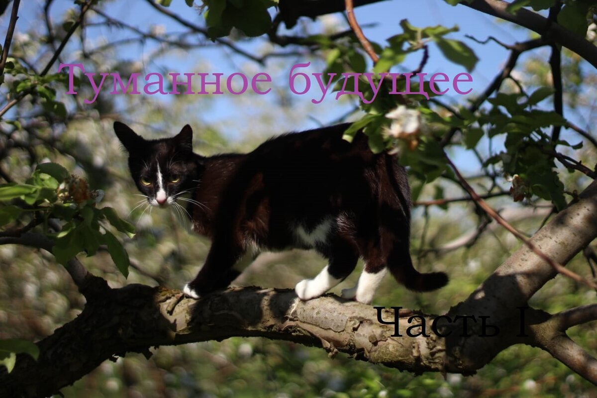 Думаю рассказ следует продолжить.