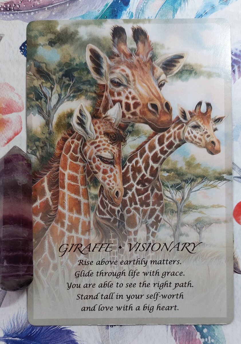 Колода: "Spirit of the Animals Oracle" Jody Bergsma