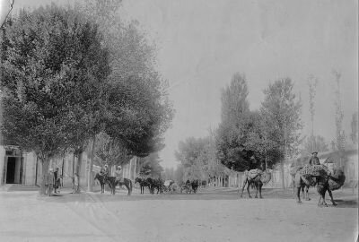Виктор Фесенко: За всю свою историю улица имела 4 названия: Кокандский проспект, Куропаткинский проспект, улица 1-го мая, улица Шахрисябз. В правой части снимка просматривается двухэтажный дом, в котором я проживал до середины 1964 года. А ранее этот дом был одноэтажной гостиницей Старая Франция. Предполагаю, что на прилагаемом к комментарию снимке можно увидеть угловой вход в эту гостиницу. Существуют также доводы, опровергающие это предположение. Здание снесли примерно в 2003 году.