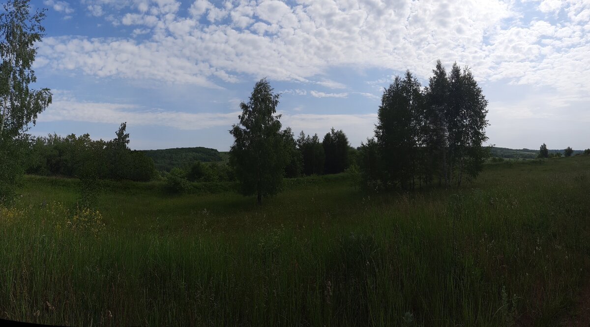 Родные  просторы. 