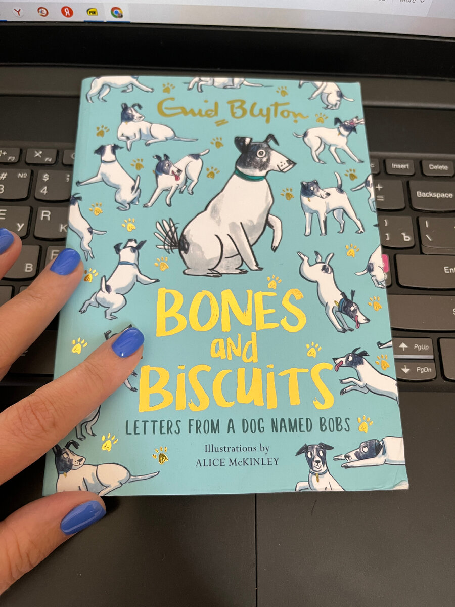 An adorable book of letters from Bobs the dog, by much-loved author Enid Blyton. The perfect gift for animal-lovers of all ages.