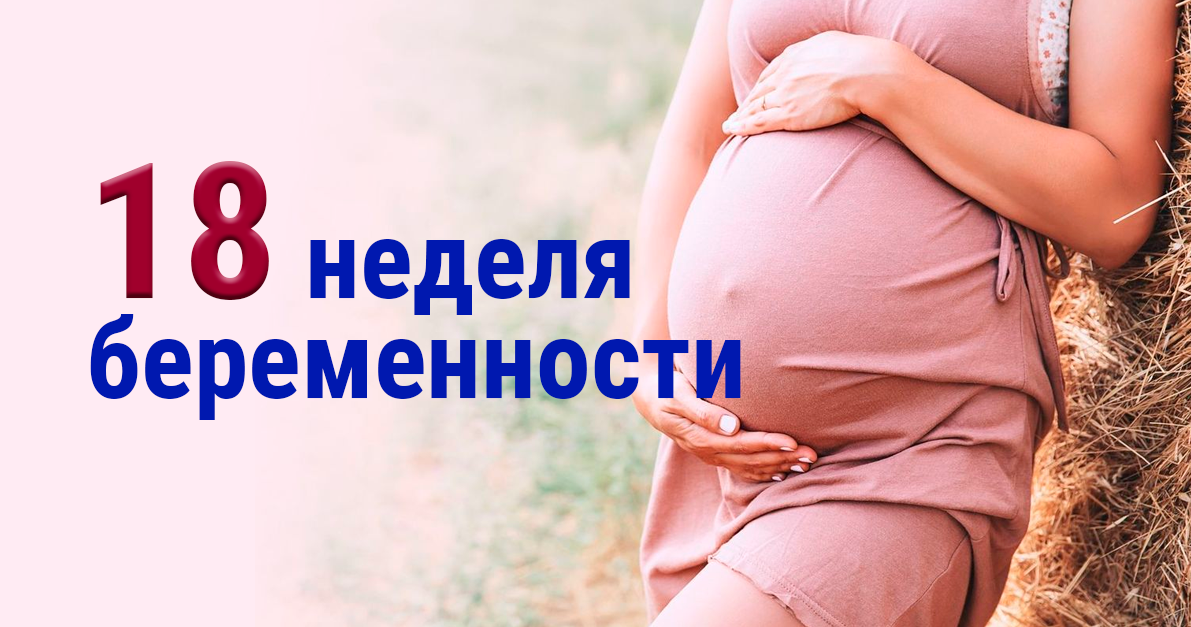 Фото живота 18 неделя — 17 ответов | форум Babyblog