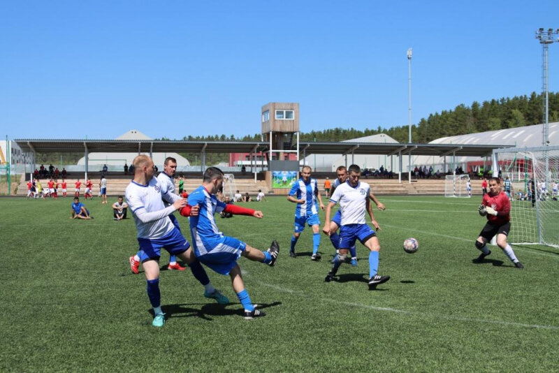    Чемпионат позволит всем участникам приобрести новых надежных товарищей по всей России Мария Материкова