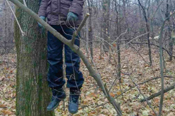 Новости повешенный. Мальчика повесили на дереве.