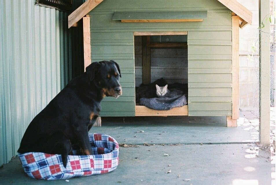 Фото выгнали из дома