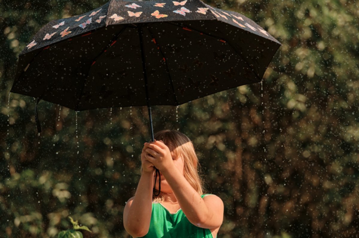    В Омской области ожидаются гроза и сильный ветер