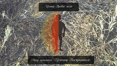 Сначала мы знакомимся с центром Воли. Центр Воли при активизации оказывает давление на область в животе. Он не находится в животе, а оказывает на него давление, центрируется внутри, выходя светимостью за границы физического тела. Этот центр дает яркий эффект собранности, готовности действовать, контроля, целеустремленности. Это центр действия. Чем более он развит – тем более сильно то или иное действие. Он так же дает возможность направлять энергию. Что к примеру широко используется в цигун практиках. Именно усилием этого центра воли, ци двигается по орбите в пассивных или активных медитациях.Далее идет центр Чувства. Центр Чувства при активизации оказывает давление на область груди. Центрируется внутри и выходит своей светимостью за границы физического тела. Он не находится в физическом теле, а оказывает на него давление. Этот центр значительно обостряет чувствительность, в том числе и к элементам второго внимания. Можно сказать что он добавляет вниманию кинестетическую модальность, позволяя вниманием чувствовать, как бы ощупывая разные моменты. К примеру чувство того или иного центра, мы чувствуем именно вниманием, а не физическим телом. Центр чувств позволяет почувствовать ци в цигун, движение энергии в тенсегрити, позволяет ощутить атмосферу того или иного места силы.Потом мы переходим к центру Истинного Осознания. При активизации он оказывает давление на область головы, как бы центрируясь в точке за переносицей на глубине ушей. Он не находится в голове, а оказывает на нее давление. Его светимость значительно выходит за пределы физического тела. Это очень интересный центр, охарактеризовать его можно как некий внутренний смех. Который рассеивает важность, как бы отрешая тебя от разных озабоченностей и прочих дурных мыслей. Это бесконечный источник оптимизма, веселья и задора. Основная полезность его в том, что он дает отрешенность от внутреннего диалога и любых мыслей в его контексте. Ты как бы перестаешь себя отождествлять с ними, что позволяет тебе значительно глубже прикоснуться к другим граням твоего существа.Следующим идет центр Безмолвного знания. При активизации он оказывает давление на область головы в районе затылка. Центрируясь у основания шеи. Его светимость охватывая часть затылочной области, распространяется так же назад. Центр безмолвного знания это основа всех наших знаний, средоточие всего нашего опыта, он же стоит и в основе нашей памяти, и из него же к нам приходит то что мы называем интуицией. Это знание без слов и понимания. Само по себе оно не имеет инициативы, но может быть применено сознательным усилием к чему угодно. Бессознательно это тоже не редко выходит, но мы обычно не склонны обращать на него внимания.Далее мы проходим центр левого тела. При активизации он оказывает давление на всю левую часть тела. Он так же как и другие центры находится во втором внимании. Но расположен на более высоком уровне. Этот центр по сути левая часть энергетического тела. Если условно представить человека как шар разделенный пополам, то левая часть этого шара, и есть левое тело. Он распространяется, если смотреть на него не теряя из виду восприятие физического тела, от середины тела, на расстояние вытянутой в сторону руки. Он воспринимается в виде чего то холодного, темного или синего. Этот центр по сути является основой второго внимания. Все внеобычные восприятия, такие как энергия, чакры, ци, итп – мы воспринимаем левым телом. Левое тело дает человеку эффект остановки, и отрешенности от обычных распорядков, так же он является средоточием внутренней силы человека.Следующим центром является правое тело. Его расположение идентично расположению левого тела, за тем исключением что он справа. И того что он воспринимается больше в красных и теплых тонах. Этот центр является основой первого внимания. Сферы обычного мира. Он по сути средоточие порядка, контроля, дисциплины, собранности. Люди с яркоразвитым таким центром успешны в социальной среде. Соответственно людям со слабым таким центром, все сложнее, порядка в их жизни меньше.
