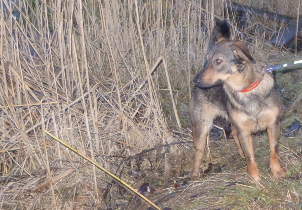 На самой первой прогулке