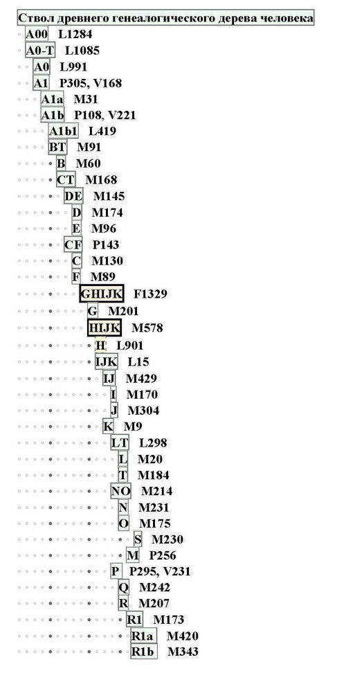 Днк на родословную. Клёсов ДНК-генеалогия таблица.