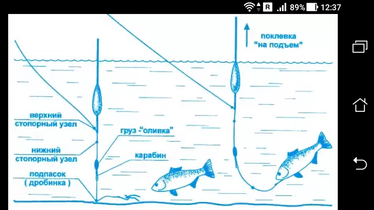 Схема снасти на карася