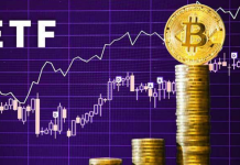    Публичное обсуждение, которое открыло SEC по поводу Bitcoin ETF, в разгаре. Криптосообщество призывает регулятора разрешить запуск ETF Биткоина.