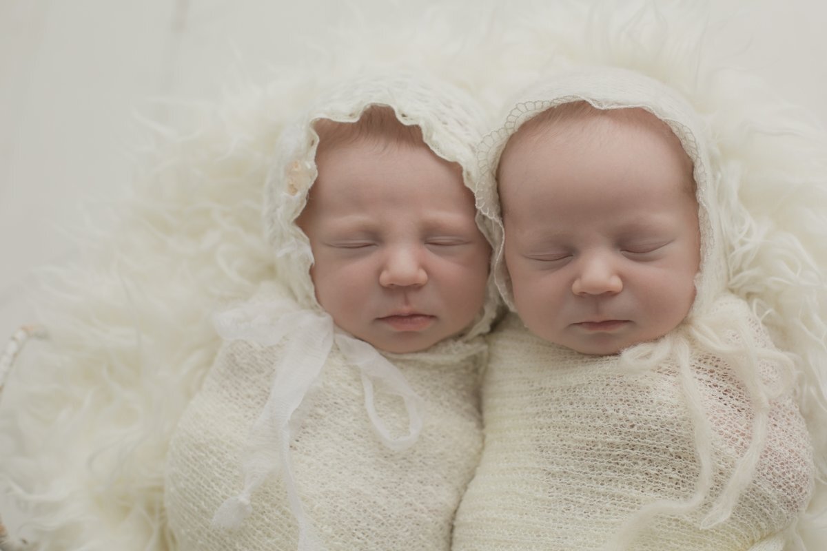 Королевская двойня читать. Королевская двойня. Королевские Близнецы. Родилась «Королевская» двойня. Двойняшки альбиносы маленькие.