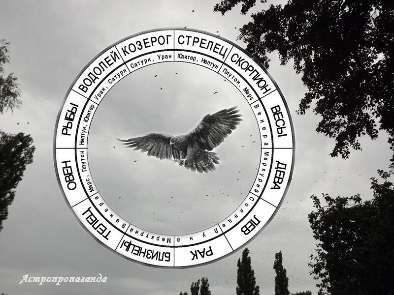 Коллаж Нины Стрелковой для канала «Астропропаганда». 